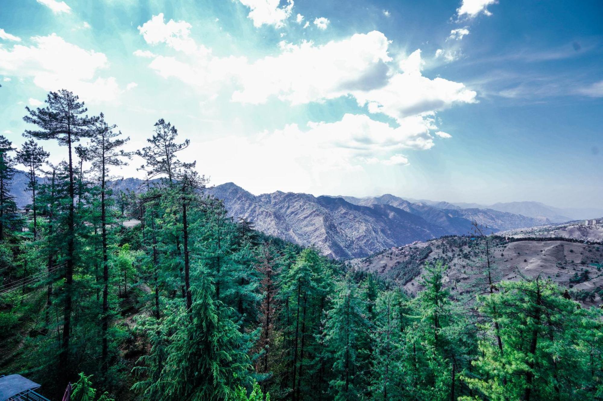 Himalayan Mountain And Valley View - Garden With Bonefire - Ample Parking - Luxury Balcony Rooms -By Aachman Stays!! Mashobra Shimla Eksteriør billede